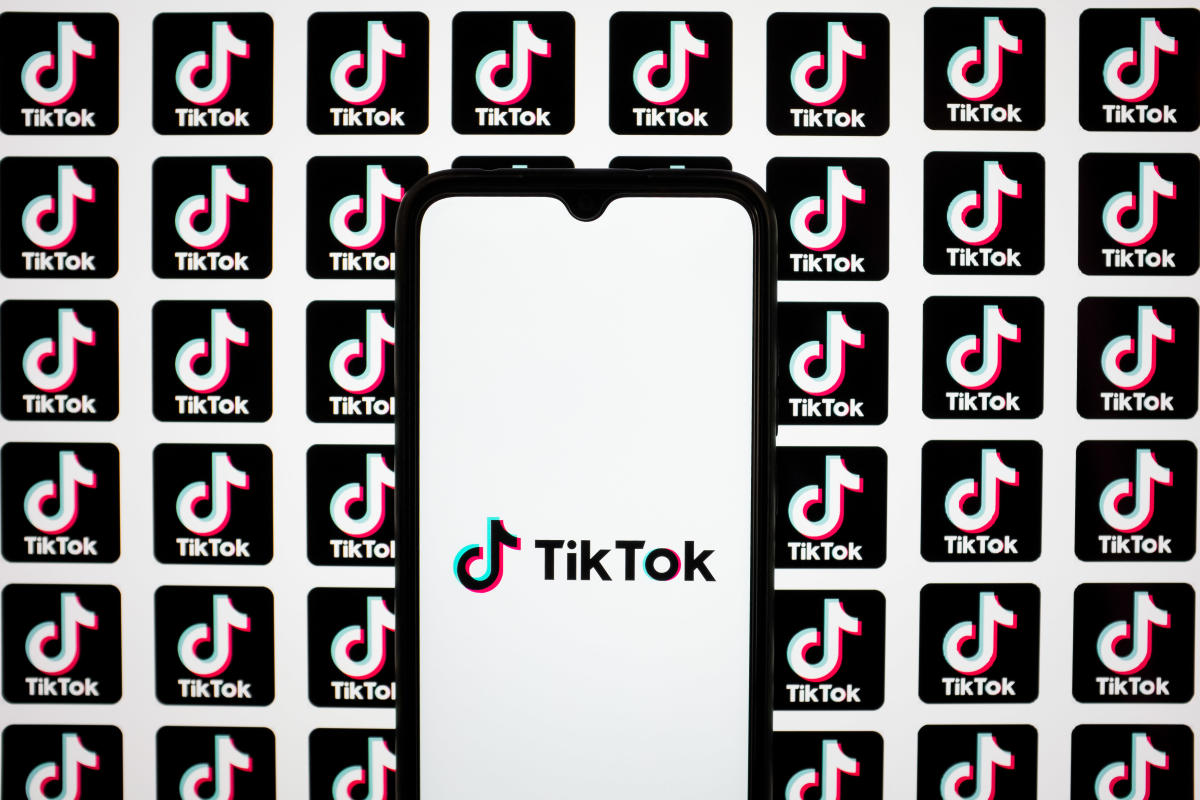 In a bid to stop ban, TikTok creators are suing the US government