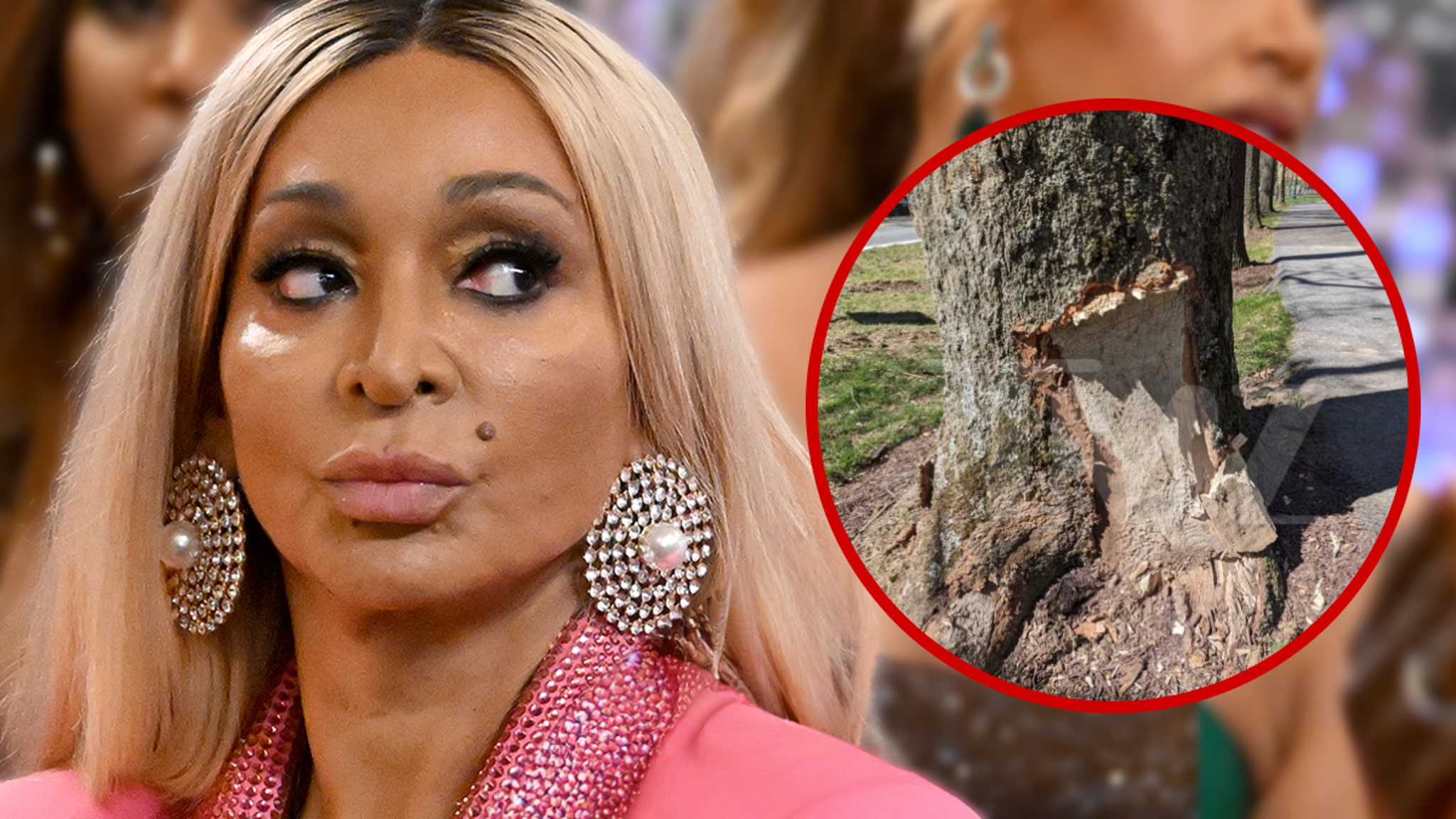 ‘RHOP’ Star Karen Huger Smelled of Booze After Crash, Cops Say