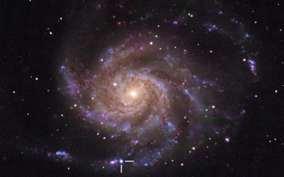 Astronomers Watch in Real Time as Epic Supernova Potentially Births a Black Hole