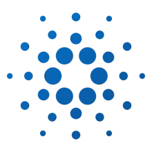 What is the term for a public and transparent record of all transactions on a blockchain?