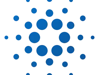 What is the term for a public and transparent record of all transactions on a blockchain?