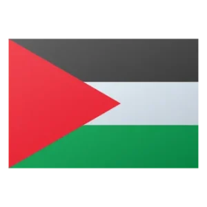 How to Make Palestine in Infinite Craft