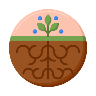 HTX ROOT Quiz Answers – Followchain