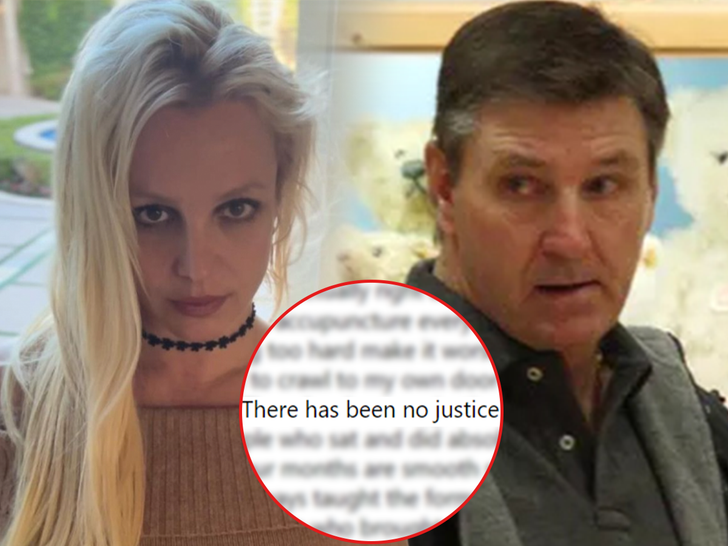 Britney Spears Blasts Dad and mom, Claims She Could By no means Get Justice