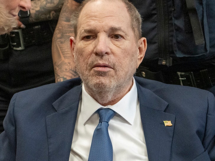 Harvey Weinstein Wanting to Combat Rape Retrial as Prosecutors Weigh Extra Expenses