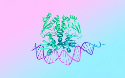 Google DeepMind’s latest medical breakthrough borrows a trick from AI image generators