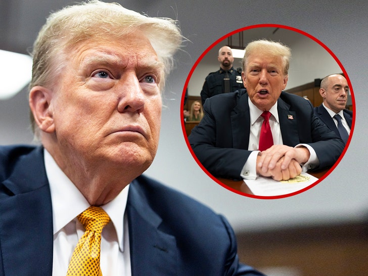 Donald Trump Responsible on All 34 Counts in Legal Hush Cash Trial