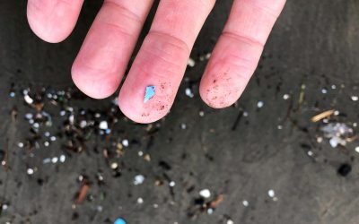 The Most Disturbing Places We’ve Found Microplastics So Far