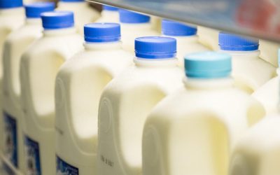 Are Your Meat and Milk Safe From Bird Flu? Here’s What You Need to Know