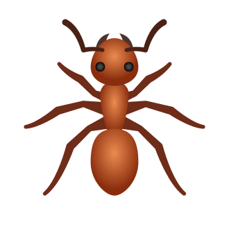 How to Get the Ants Filter on TikTok