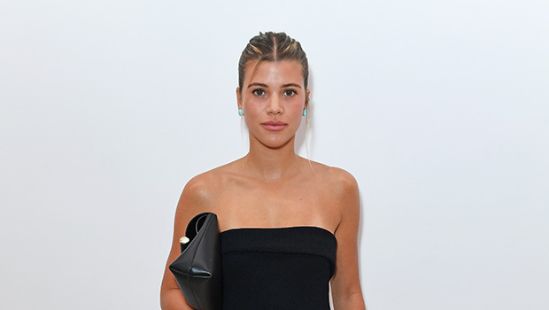 Sofia Richie Shows Off Baby Bump in New Mirror Selfie: Photo – Hollywood Life