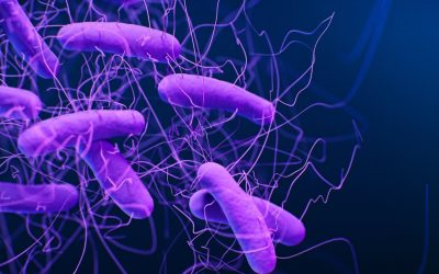 Covid Vaccine Tech Is Being Used to Fight a Nasty, Diarrhea-Causing Bacteria