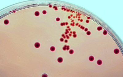 New Antibiotic Hits the Market to Tackle Stubborn UTIs