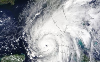 Is It Florida’s Next Hurricane? – Hollywood Life