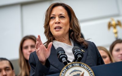Did Kamala Harris Work at McDonald’s? Her Past Job Explained – Hollywood Life