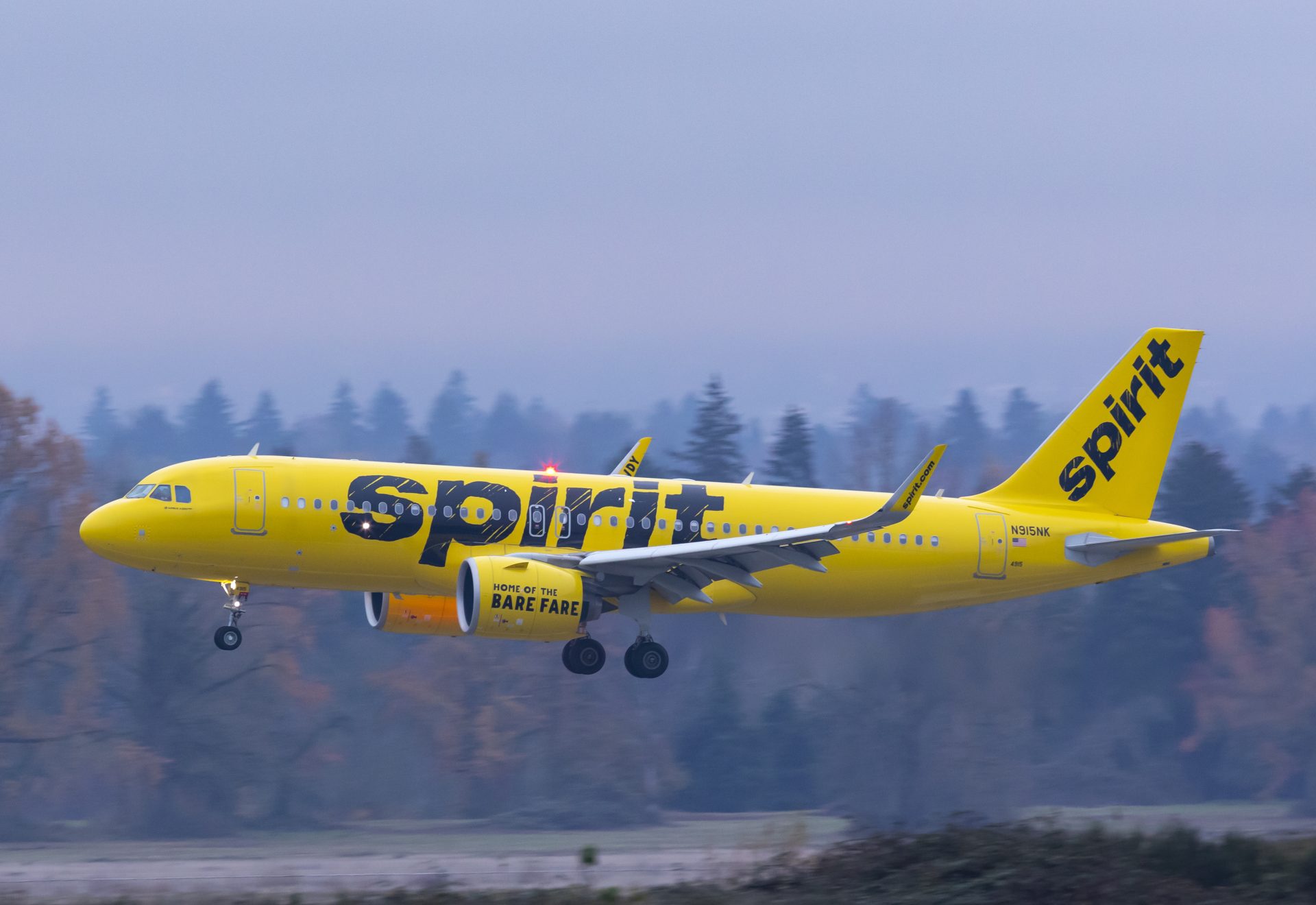 Spirit Airlines Passengers Claim Rat Was Spotted On Ceiling