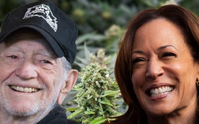 Willie Nelson Organizes Cannabis Community Event to Support Kamala Harris