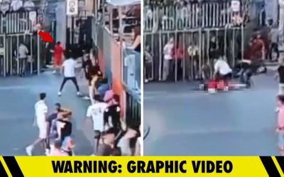 Bull Gores Lady to Demise at Spanish Competition, Distressing Video