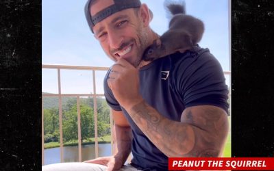 Peanut the Squirrel’s Rabies Check Declares Him Healthy