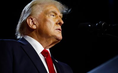 Donald Trump Wins the Presidency, Elon Musk Celebrates