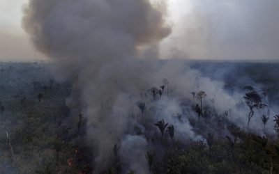 Hottest Year Ever: 2024 Set to Break Temperature Records