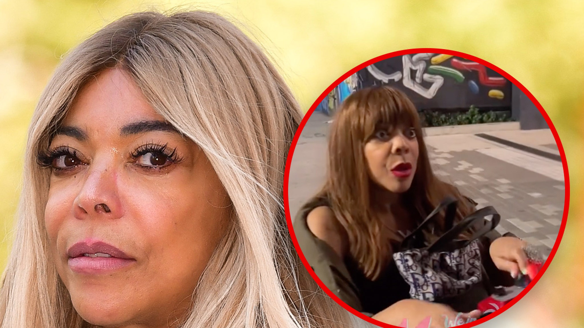 Fiery Confrontation Between Wendy Williams and Caretakers On-Camera