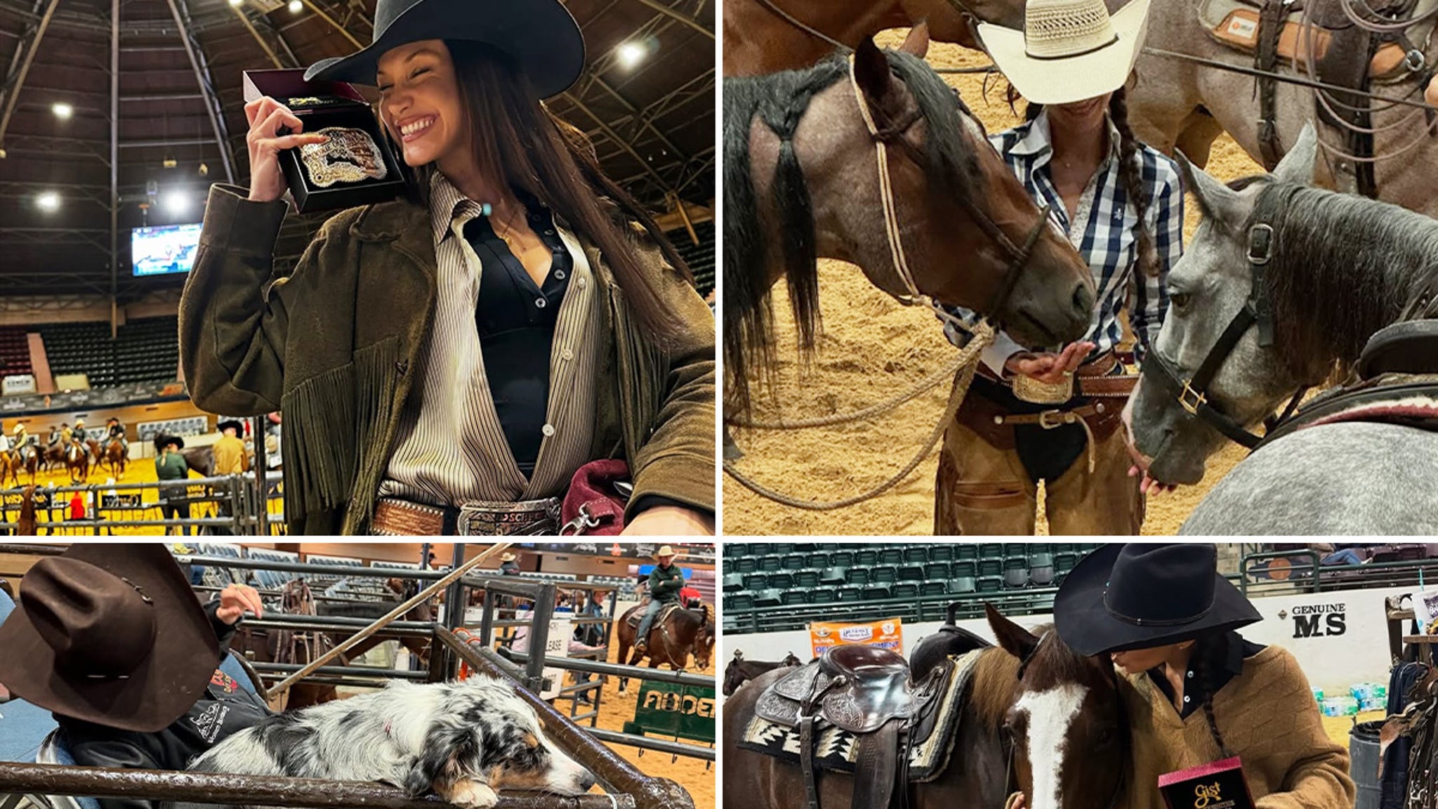 Horse Cutting Rookie of the Year: Bella Hadid’s Journey