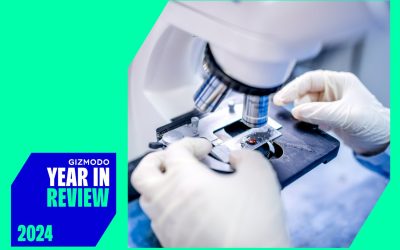 Medical Breakthroughs of 2024: Top Discoveries Revealed