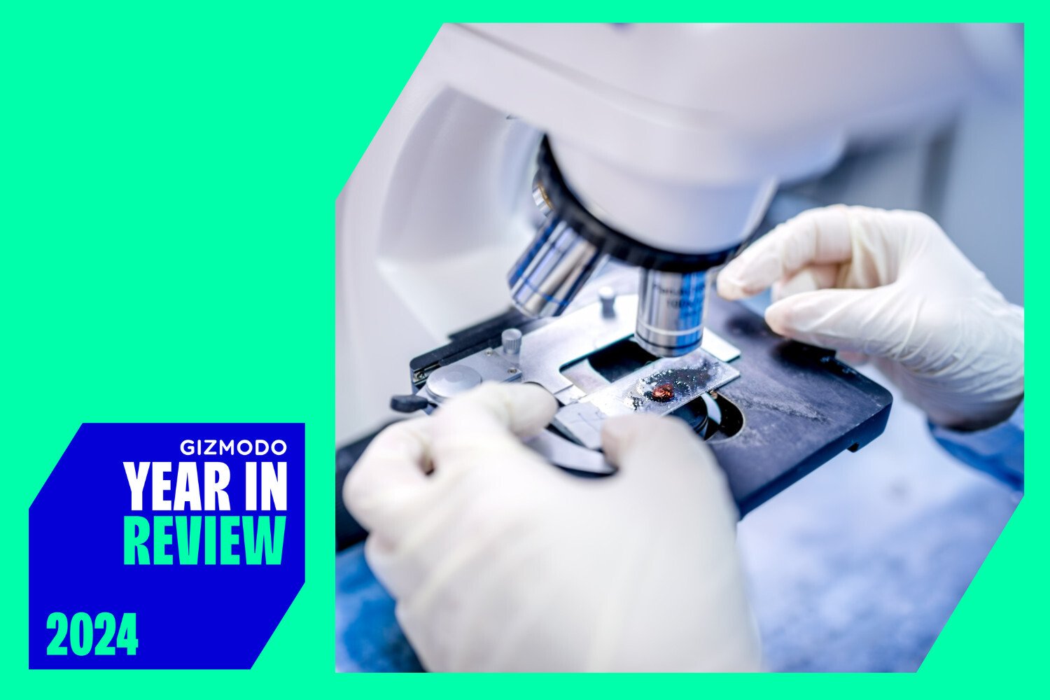 Medical Breakthroughs of 2024: Top Discoveries Revealed