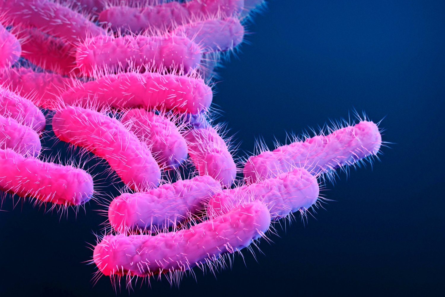 Superbug Spreading in Los Angeles Causes Dangerous Diarrhea