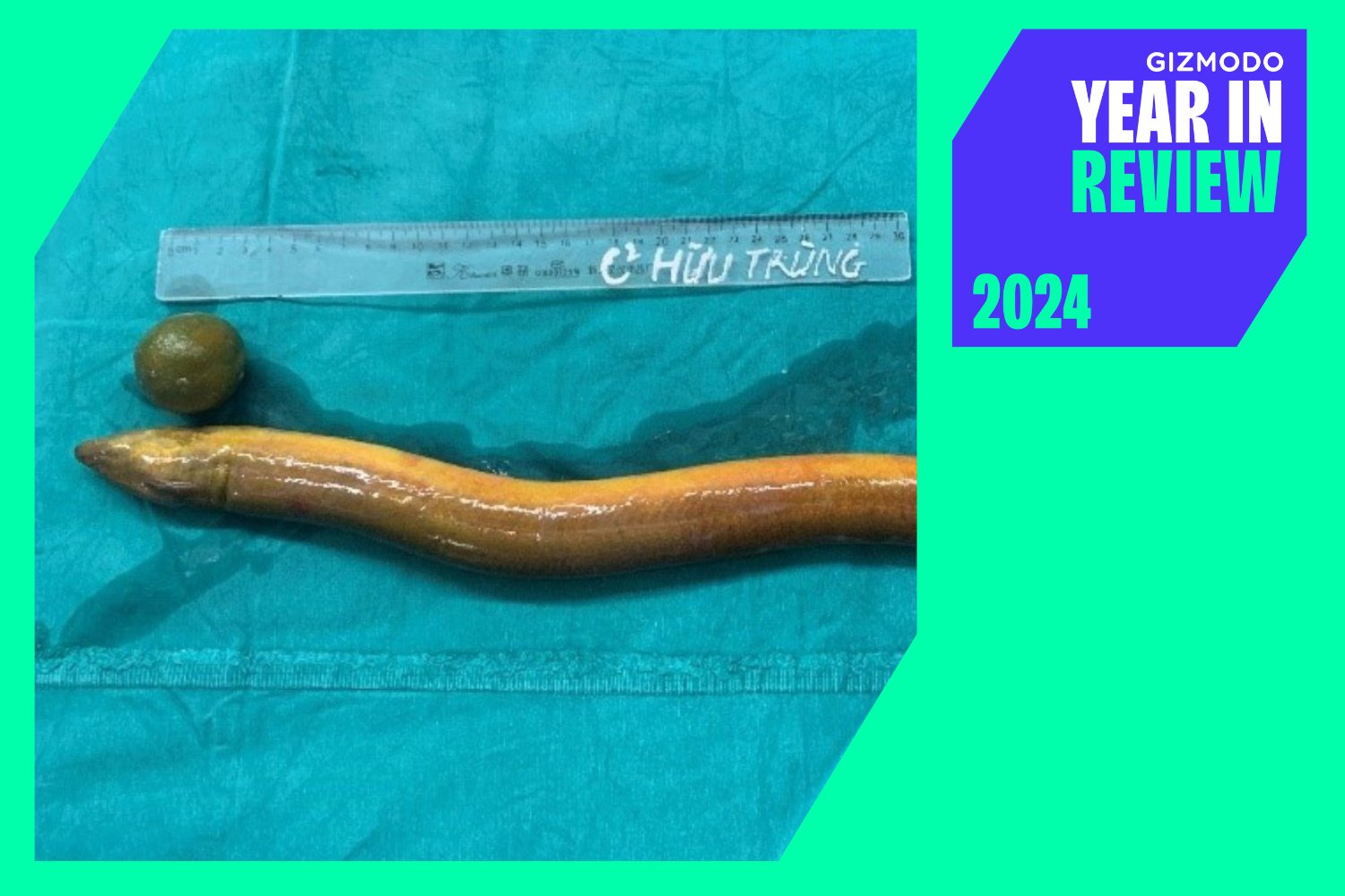 Weirdest Medical Cases to Watch in 2024