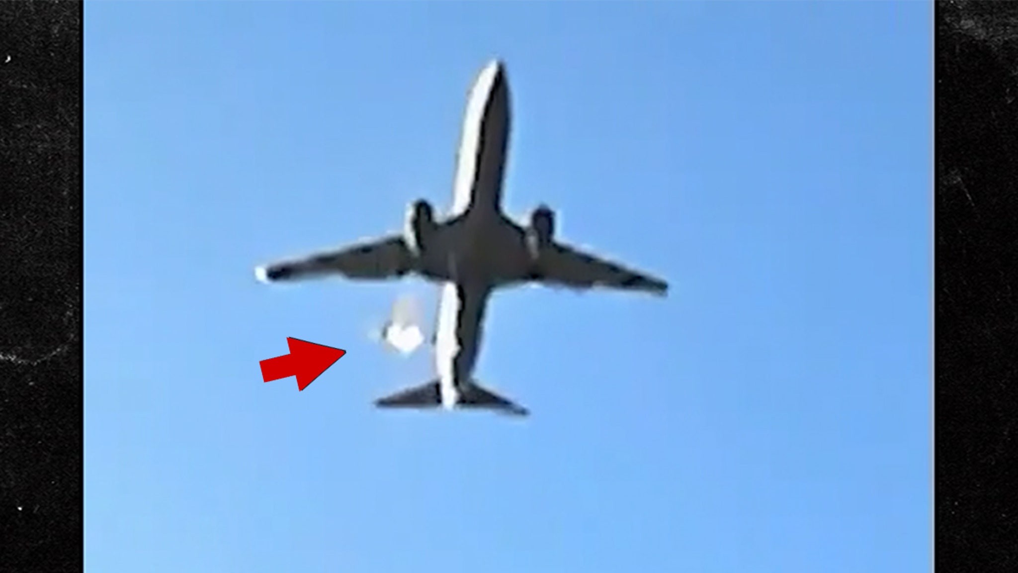 Bird Strike Warning Preceded Deadly South Korean Flight Crash