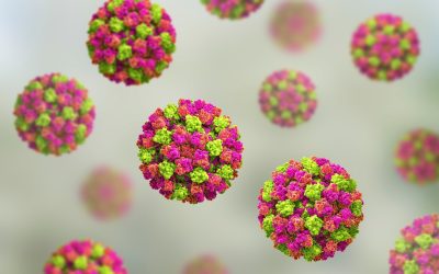 mRNA Tech from Moderna Targets Stomach Flu