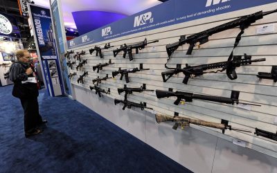 Gun Lobbyists and the Cambridge Analytica Data Scandal