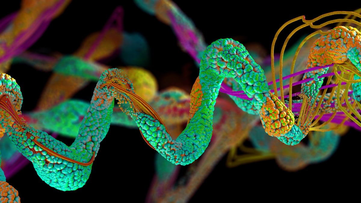 Why Life “Turned Left”: NASA Scientists Seek Answers