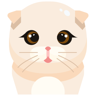 MEW Quiz Answers for Revolut – Followchain Insights