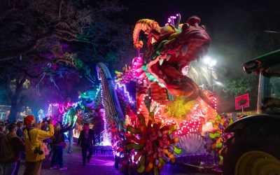 Mardi Gras 2025: Parade Details and More Insights