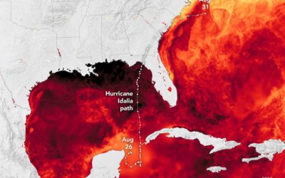 Supercharge Hurricane Idalia: A Surprising Factor Revealed