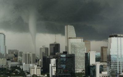 Damage Updates from Hollywood Life