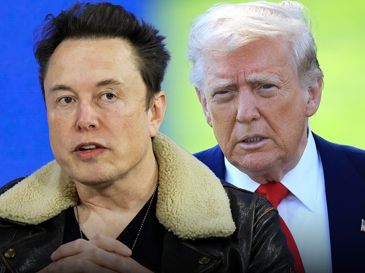 Elon Musk Removes Epstein Post, Trump Rejects Warmth