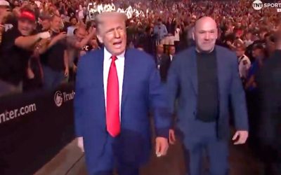 UFC 316: Donald Trump Joins Without Elon Musk After Sparring