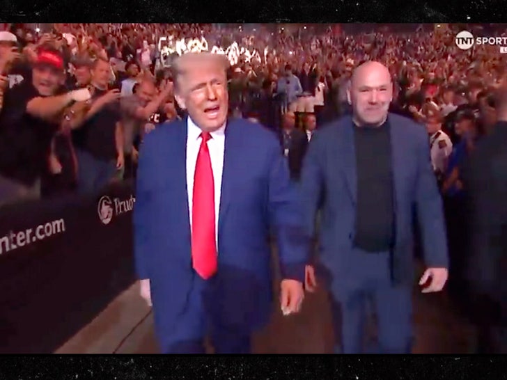 UFC 316: Donald Trump Joins Without Elon Musk After Sparring
