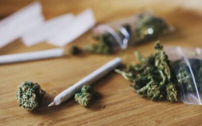 Weed’s Negative Impact on Heart Health Revealed in New Study