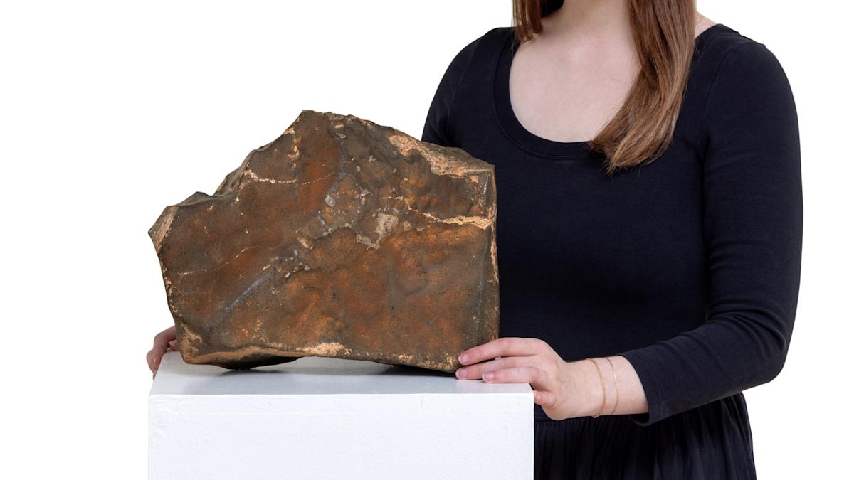 Mars piece sold for .3 million in stunning auction