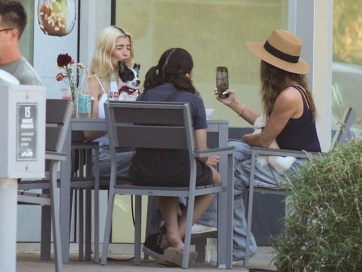 Denise Richards and Daughters Spotted Amid Estranged Husband’s Claims