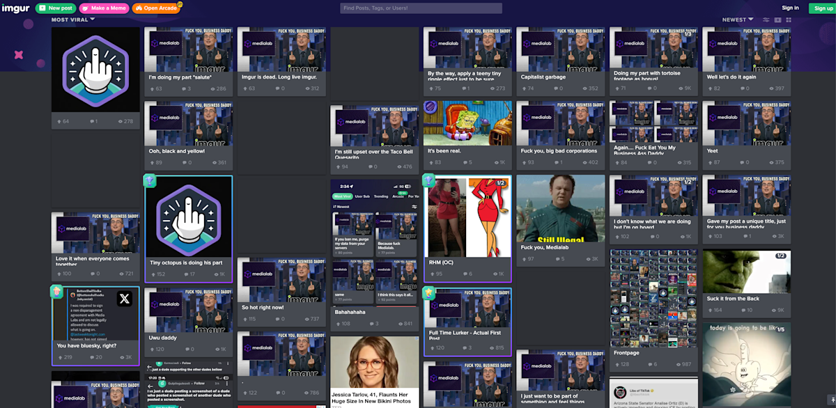 Anti-MediaLab Memes Dominate Imgur Protest Front Page