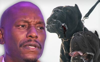 Dogs Maul Neighbor’s Pet to Death: Tyrese Wanted by Police