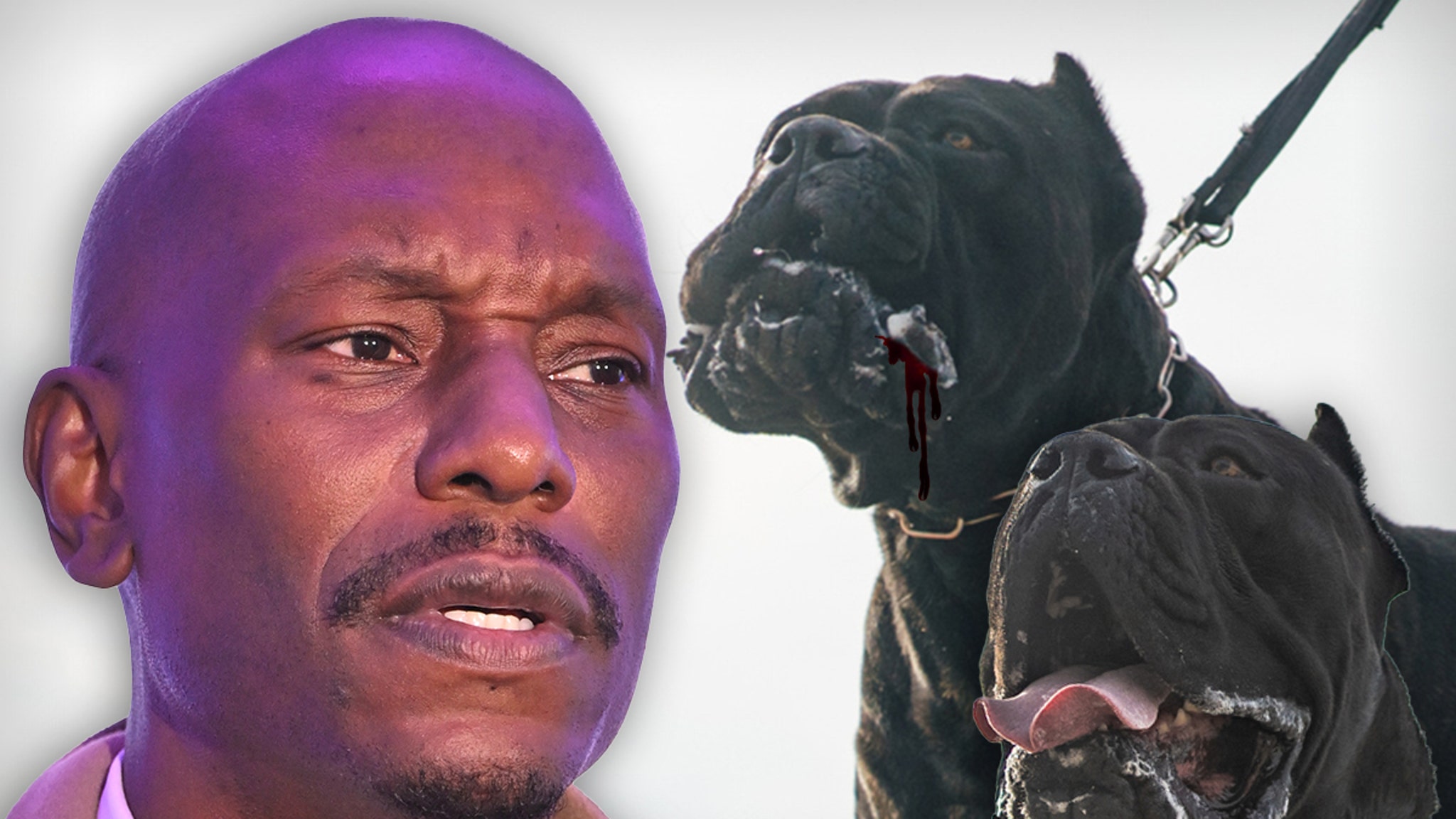 Dogs Maul Neighbor’s Pet to Death: Tyrese Wanted by Police