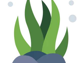 Aurora Vine Wiki: How to Grow a Thriving Garden