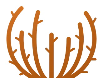 Pyracantha Wiki: Tips for Growing Your Garden